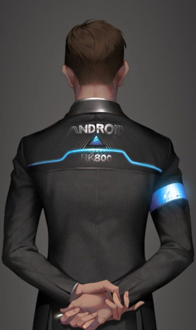 Rk800 