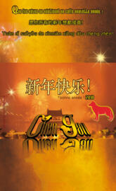 happy new year china