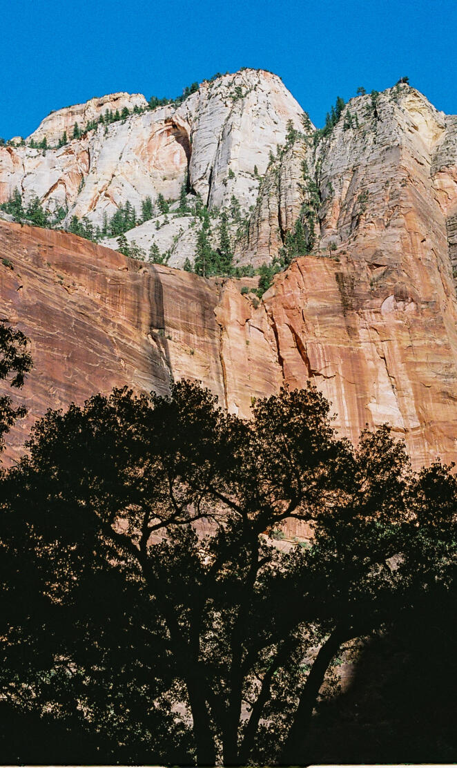 Great view from Zion