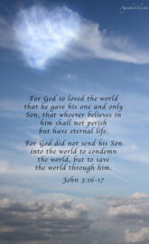 John 316