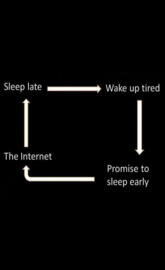 Daily Cycle