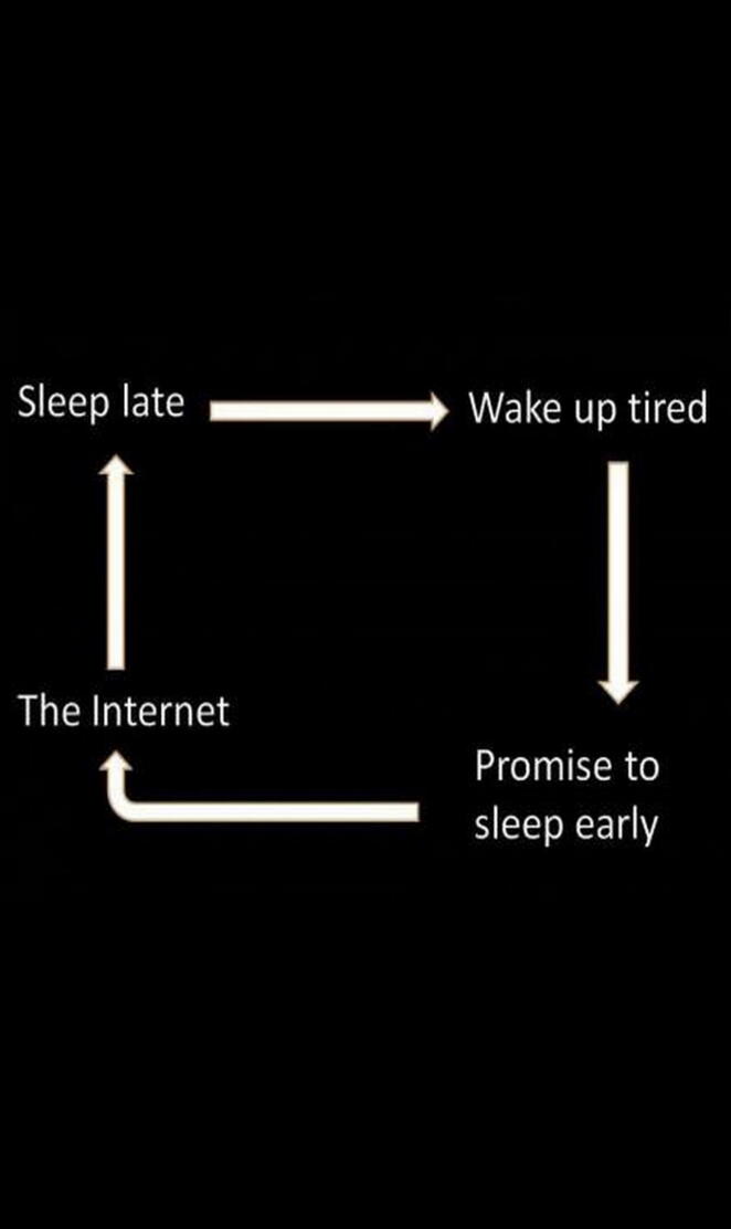 Daily Cycle