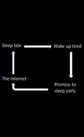 Daily Cycle