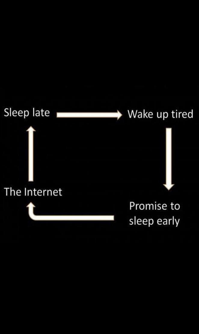 Daily Cycle