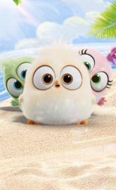 Wonderful Angrybirds