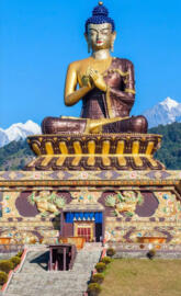 Gautam Buddha