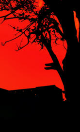 Red & Black Atmosphere