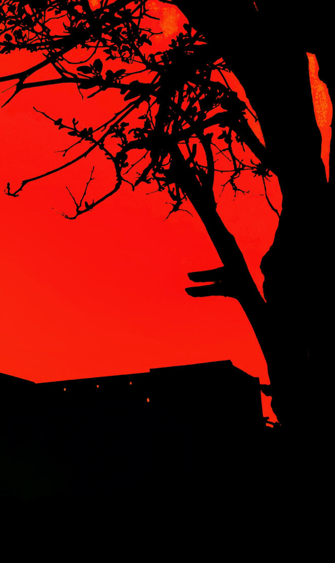 Red & Black Atmosphere