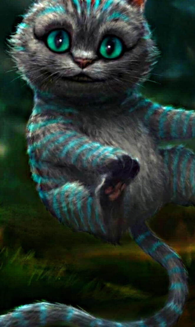 Alice Cat wonderLand