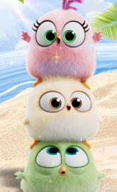 AngryBirds Wonderful 