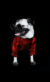 PUG SWAG