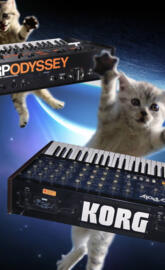 Musical space cats