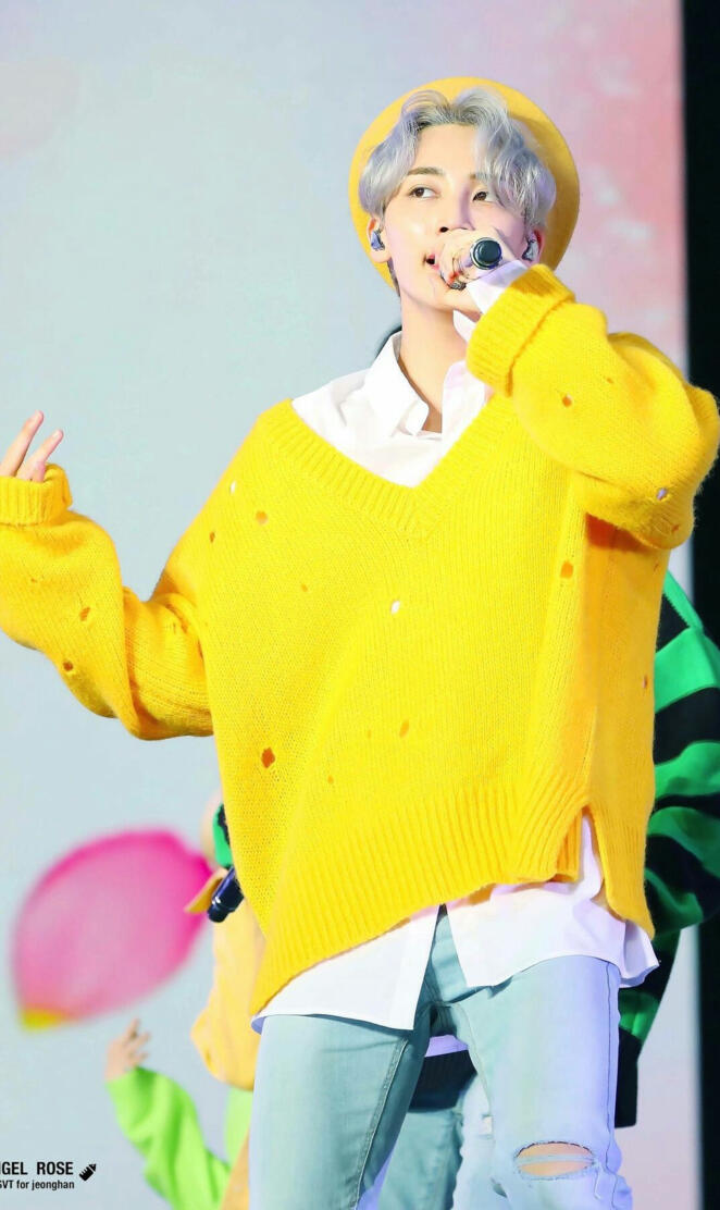 SVT~ Jeonghan Concert