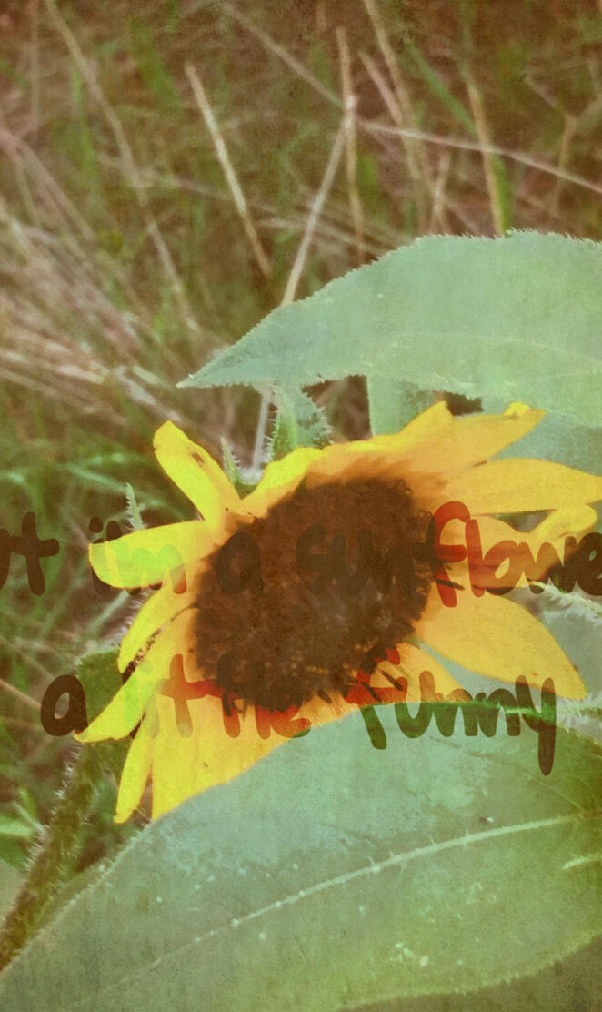 Sunflower Lyrics