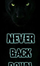 Never Back Down 2