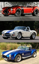 Shelby cobra trio