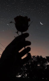 NOITE