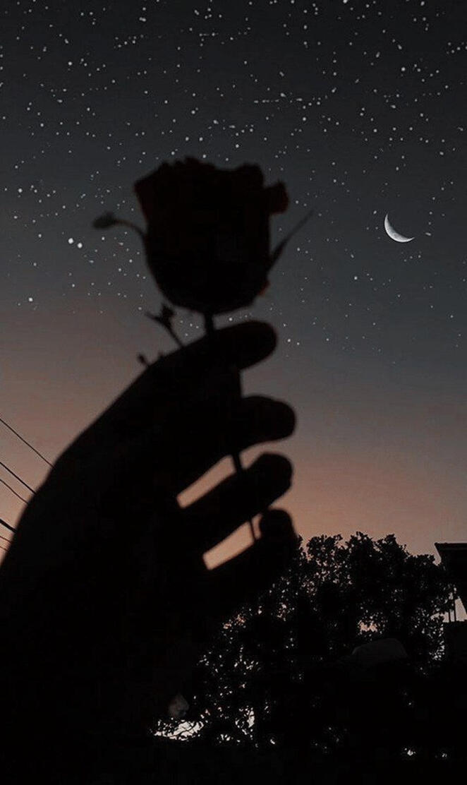 NOITE