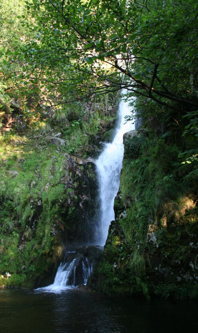 Cascada