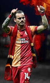 Wesley Sneijder