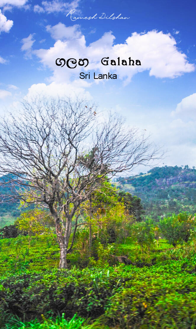 Galaha Srilanka