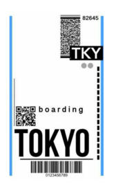 Fly ticket