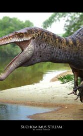 Suchomimus stream
