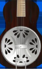 Acoustic Guitar