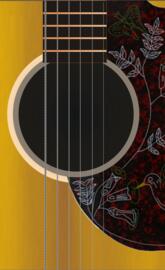 Acoustic Guitar
