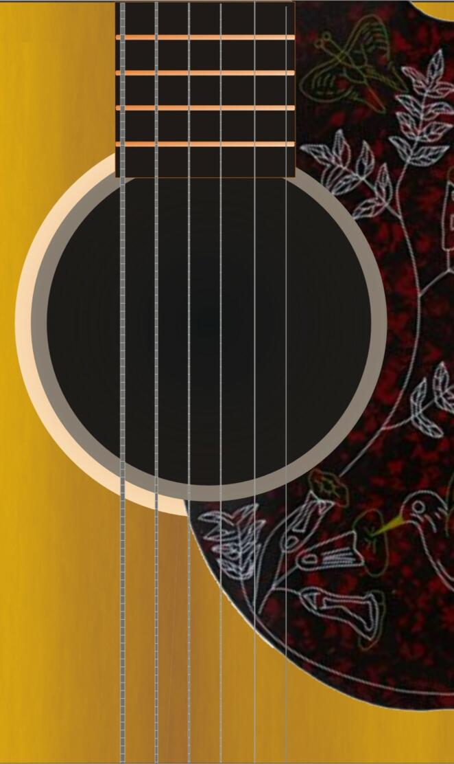 Acoustic Guitar