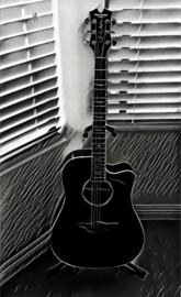 Acoustic guitar
