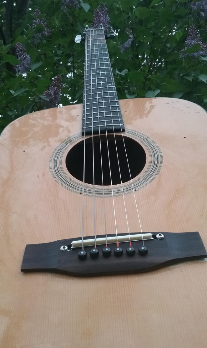 Acoustic guitar