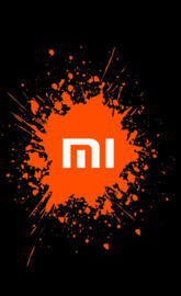 Xiaomi Logo Splash
