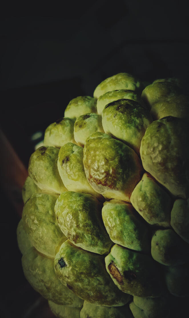 Custard Apple