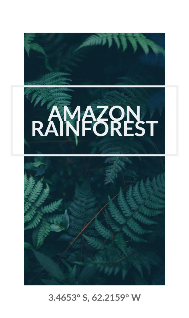 Amazon Rainforest