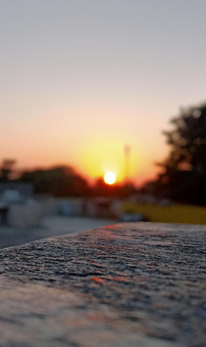 Sunset View