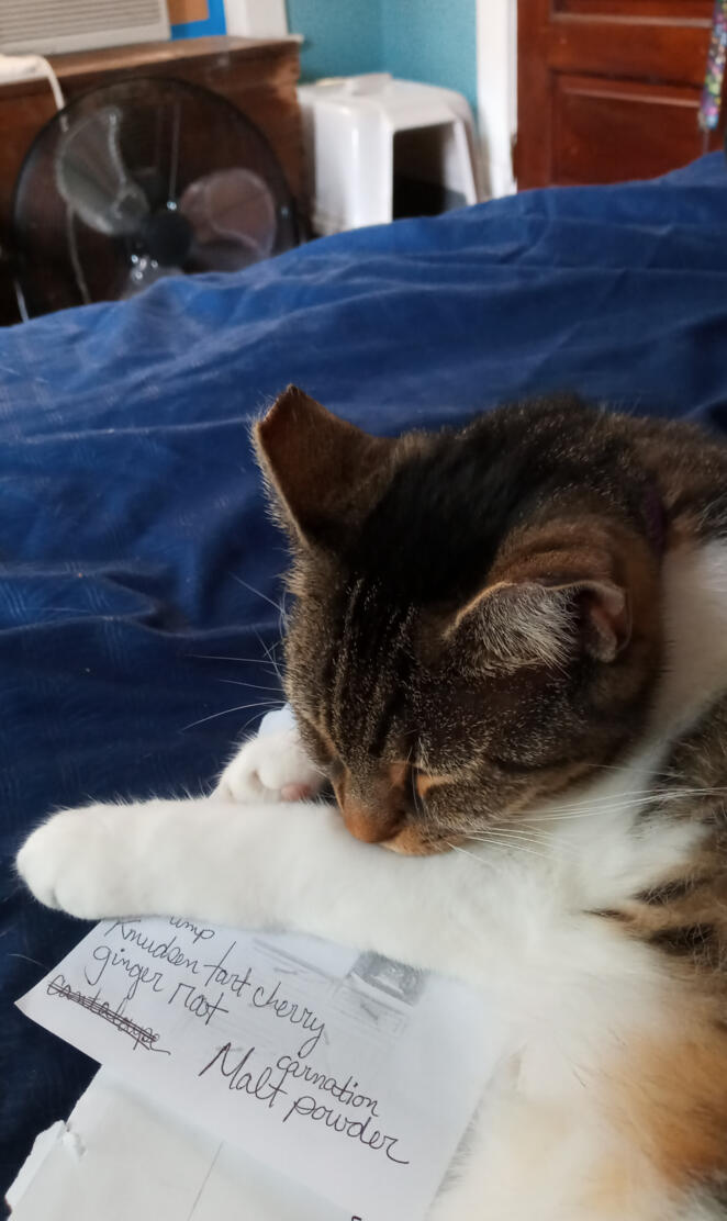 Angelica Marissa Cain