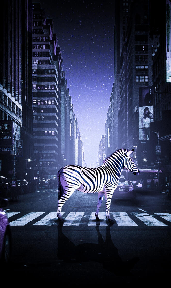 ZebraOnZebra