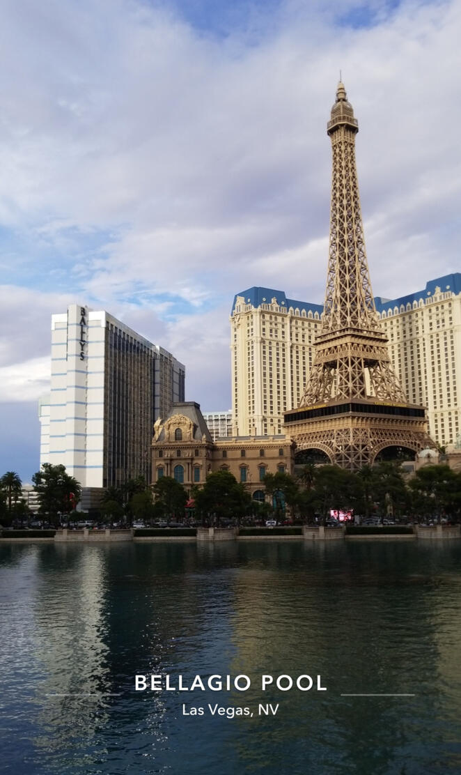 Bellagio Pool