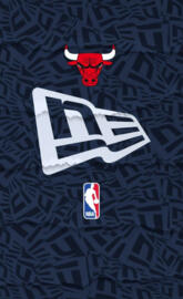 Chicago bulls