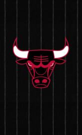 Chicago Bulls