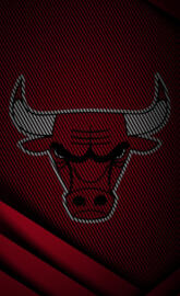 Chicago Bulls