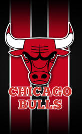 Chicago Bulls