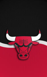 Chicago Bulls