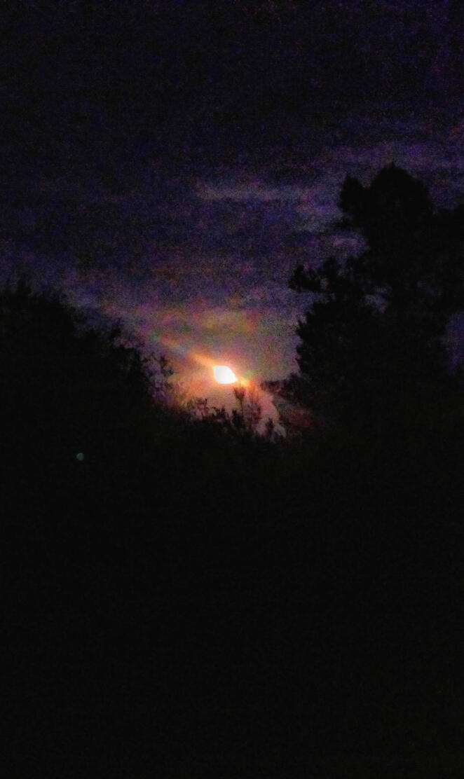 Moonrise