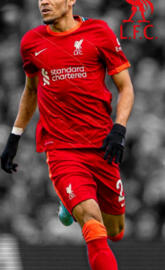 Luis Diaz - Liverpool