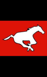Calgary Stampeders
