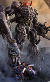 La victoria de shockwa