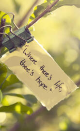 Where Theres Life Th