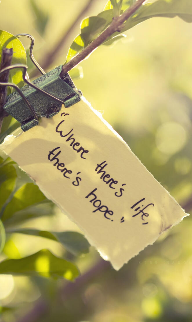 Where Theres Life Th